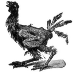 The Aultman & Taylor Company Image